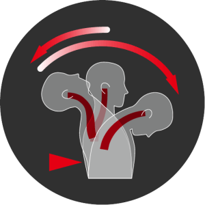 auto accident whiplash conditions we treat